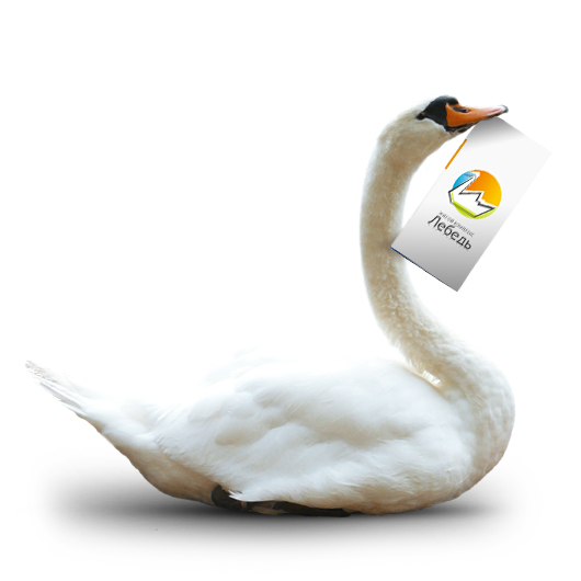 Логотип жилого комплекса в рекламной полиграфии