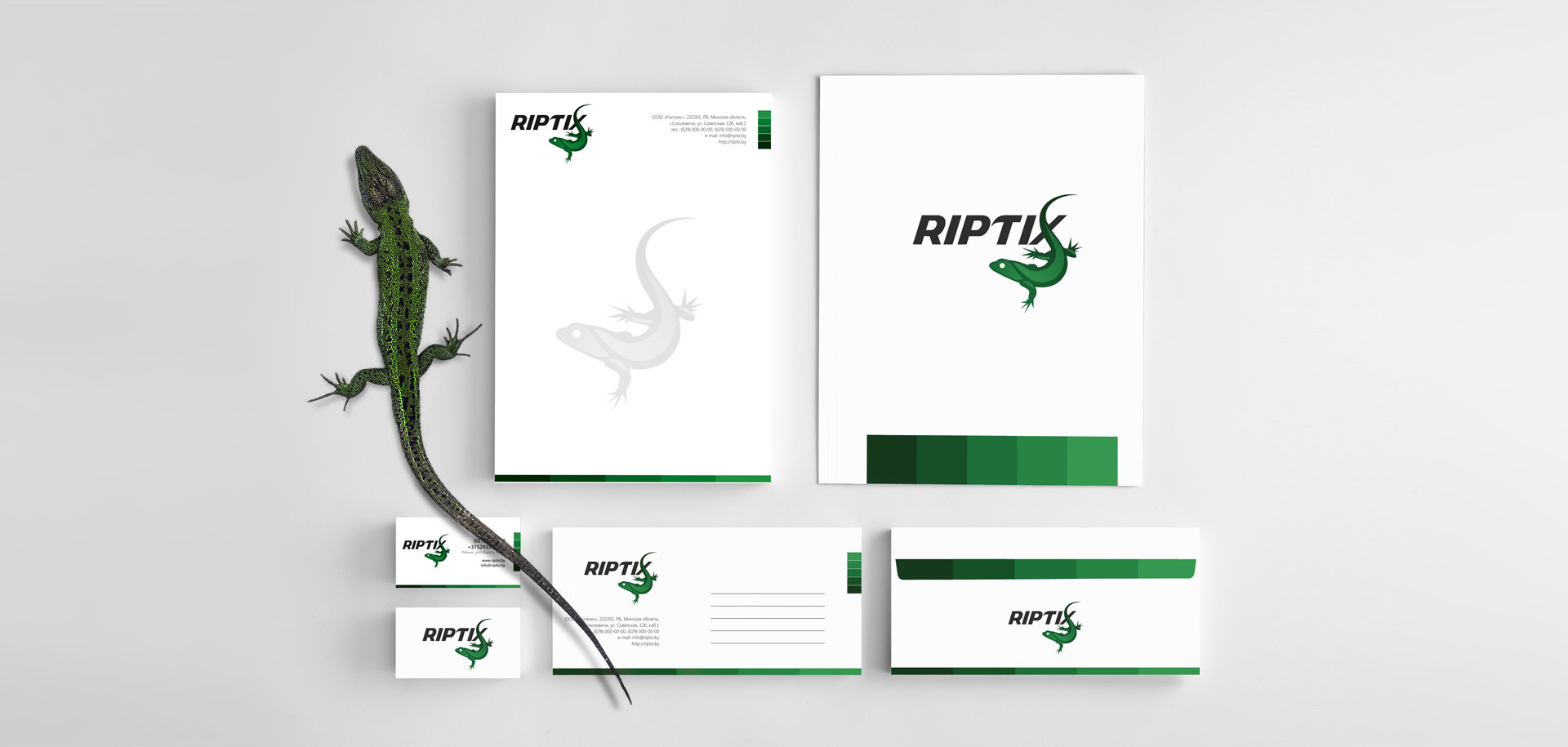 Логотип-и-стиль-Riptix