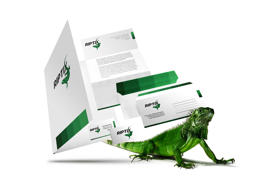 Разработка корпоративного стиля-Riptix