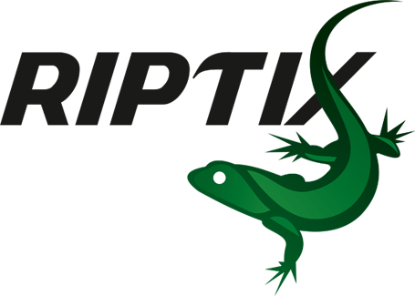 Разработка логотипа и фирменного стиля Riptix