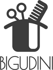 Bigudini-создание-логотипа-салона-красоты