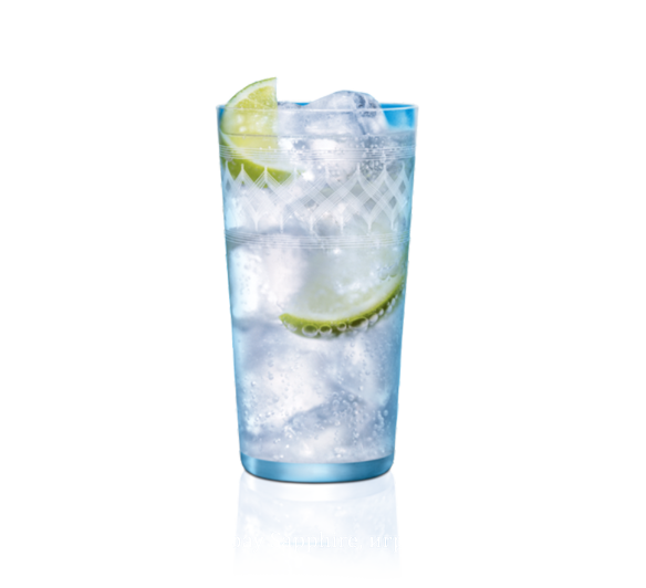 Bombay-sapphire-лифлет