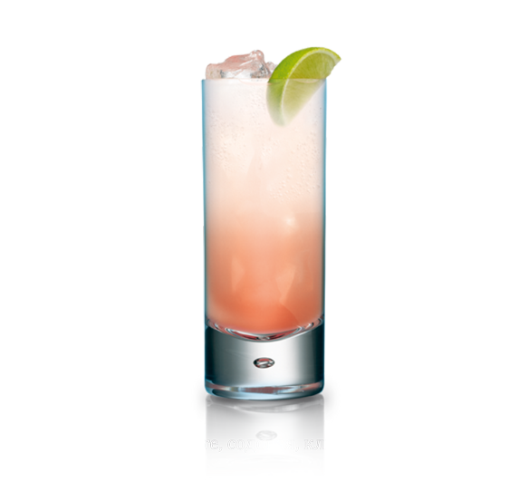 Bombay-sapphire-создание-лифлета