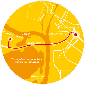 дизайн-элементов-сайта-Temus