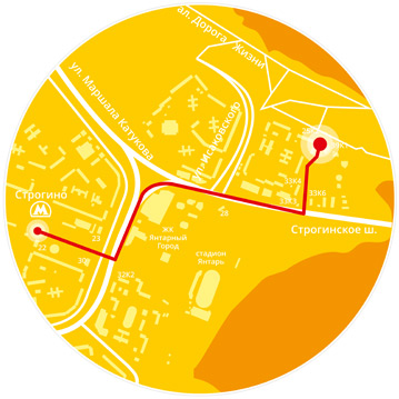 разработка-элементов-сайта-Temus