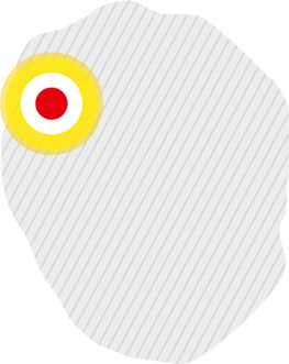 создание-элементов-сайта-Temus