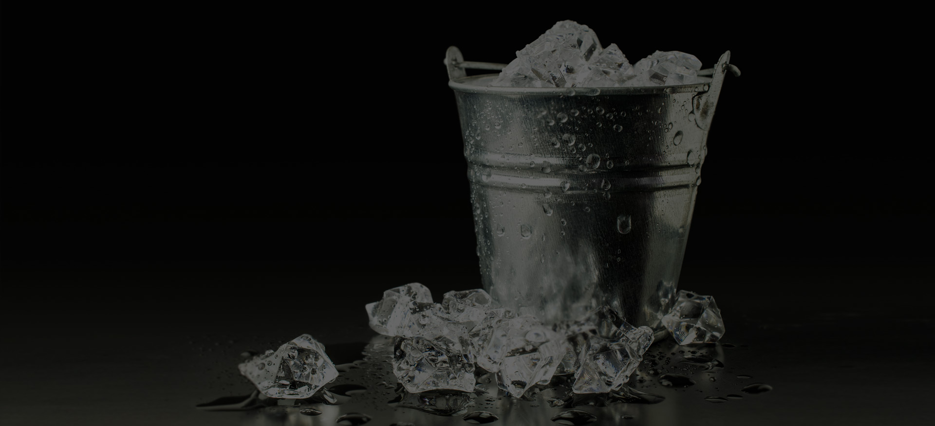 Ice bucket challenge. ChesterStudio принимает вызов