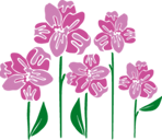 Бери-Дари-дизайн-сайта