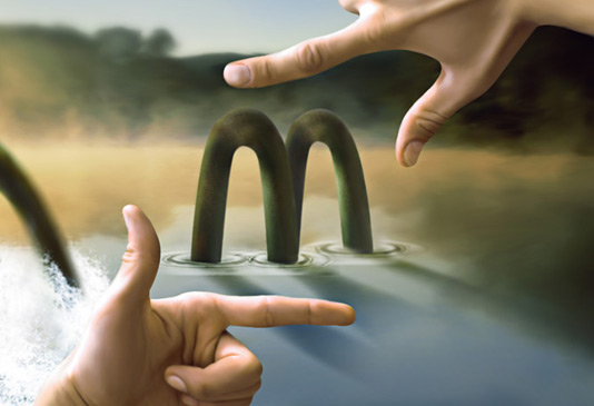 Chesterstudio-лови-логотип