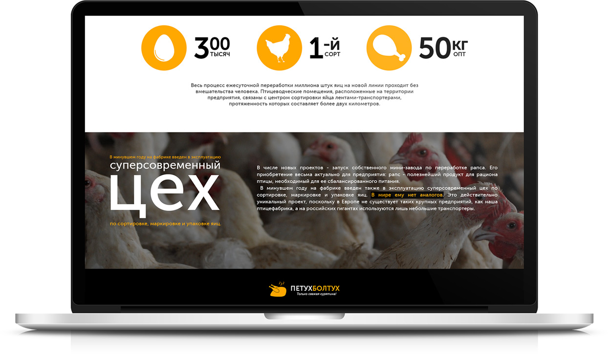 Инфографика-иконки-и-типографика-как-средство-привлечения-внимания-пользователя